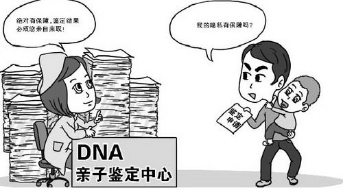 湖南司法DNA鉴定出结果要多久,